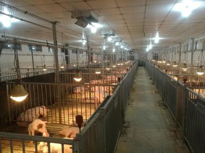 實(shí)驗(yàn)基地動物飼養(yǎng)管理體系