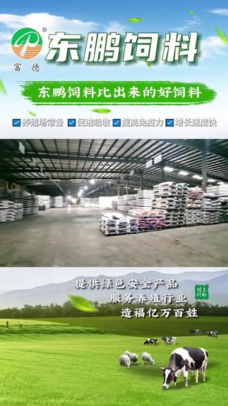 綠色飼料的使命 專業(yè)大廠如何為養(yǎng)殖戶鋪就健康養(yǎng)殖之路