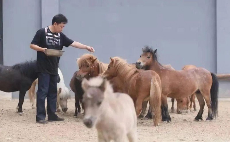 于謙個(gè)人簡(jiǎn)介(于謙副業(yè)說相聲玩兒才是主業(yè))